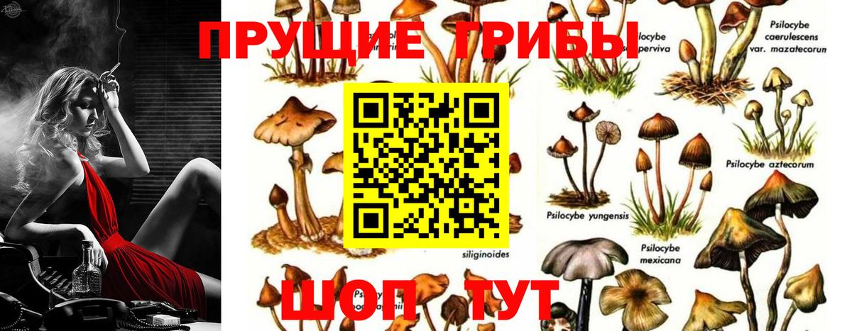 Псилоцибиновые грибы Magic Shrooms Конаково