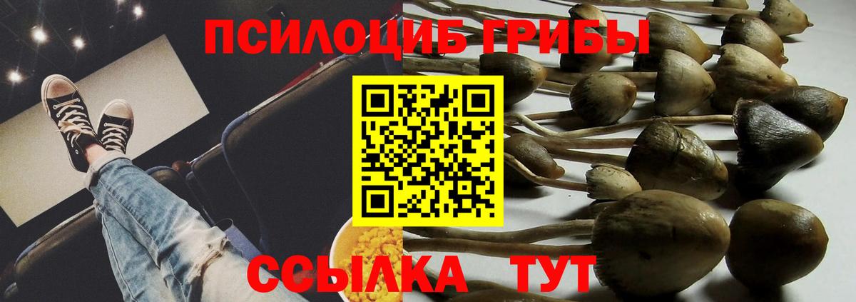 где купить наркоту  Вход с VPN  Конаково  Галлюциногенные грибы Psilocybe 